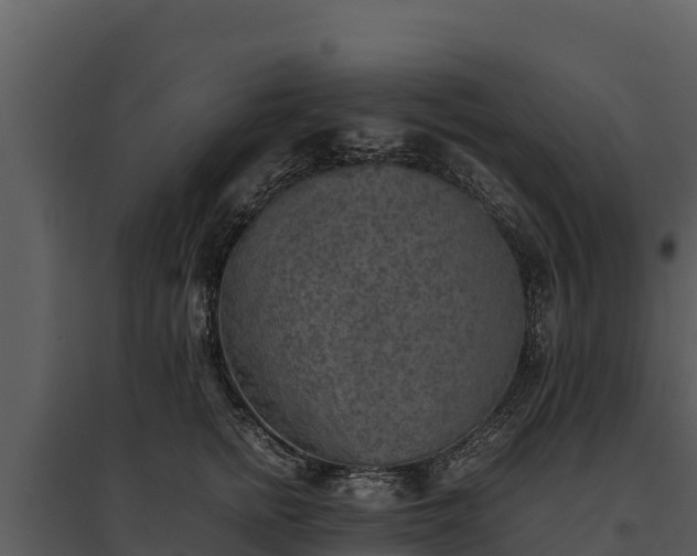 X0000095690758200801151148