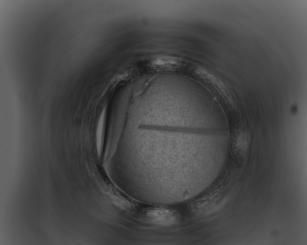 X0000095690759200801151148