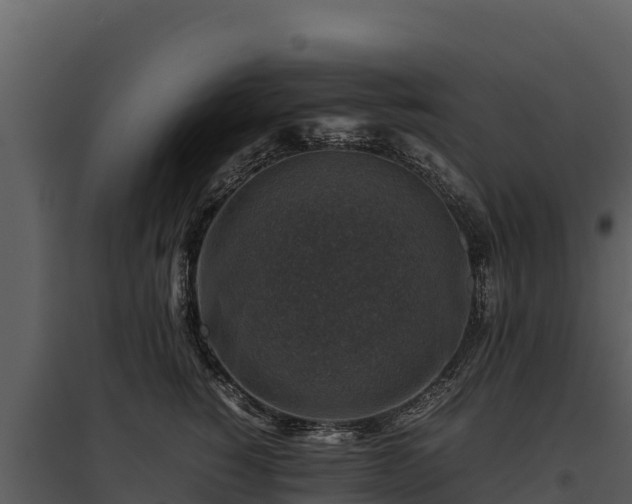 X0000095690760200801151148