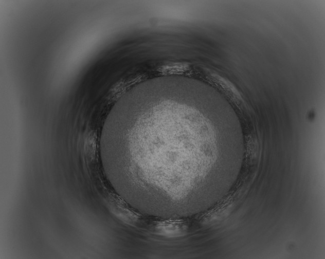X0000095690761200801151148