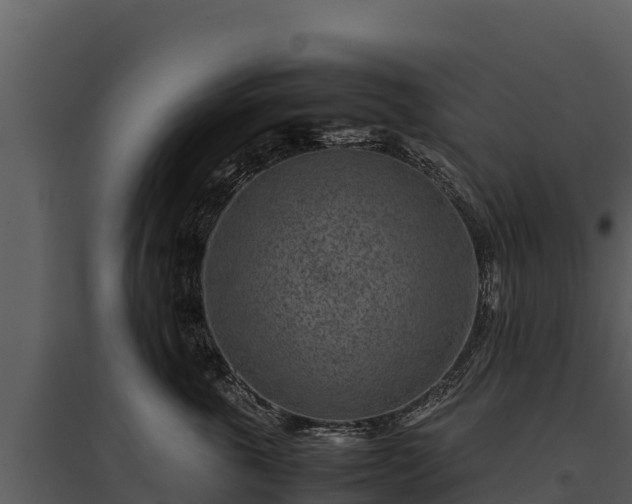 X0000095690763200801151148