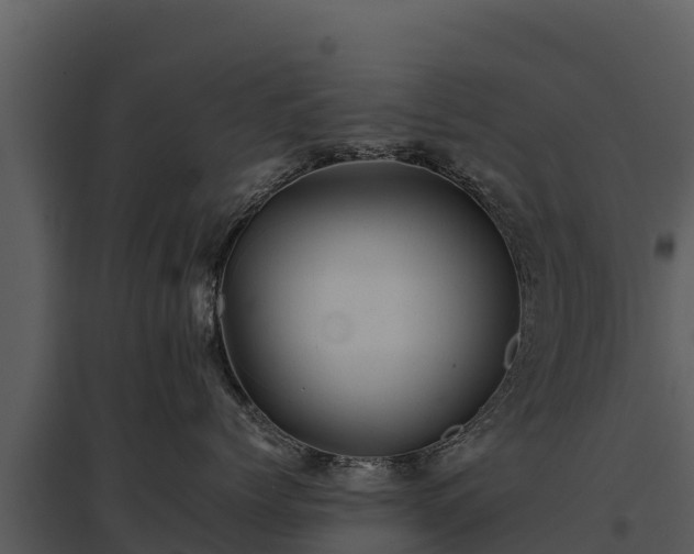 X0000095690768200801151148