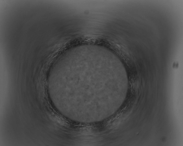 X0000095690769200801151147