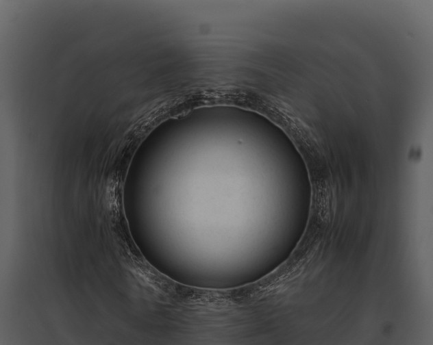 X0000095690770200801151147