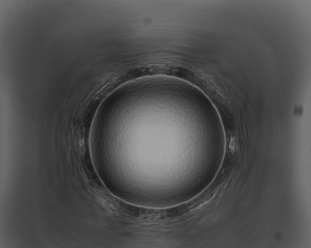 X0000095690771200801151147
