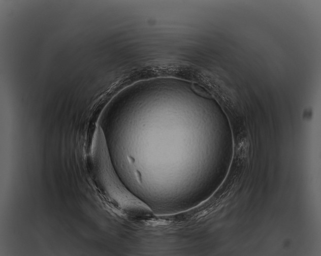 X0000095690772200801151147