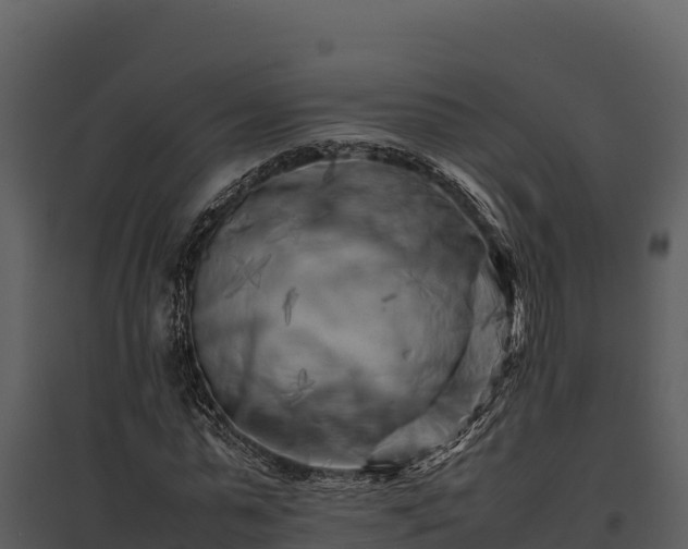 X0000095690775200801151147
