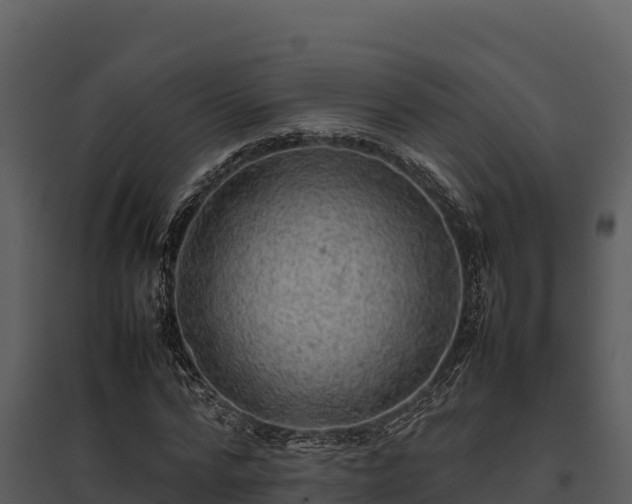 X0000095690776200801151147