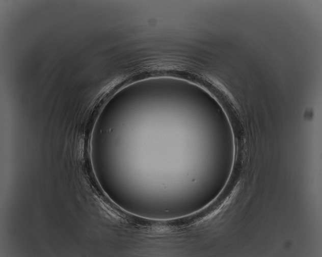X0000095690777200801151147