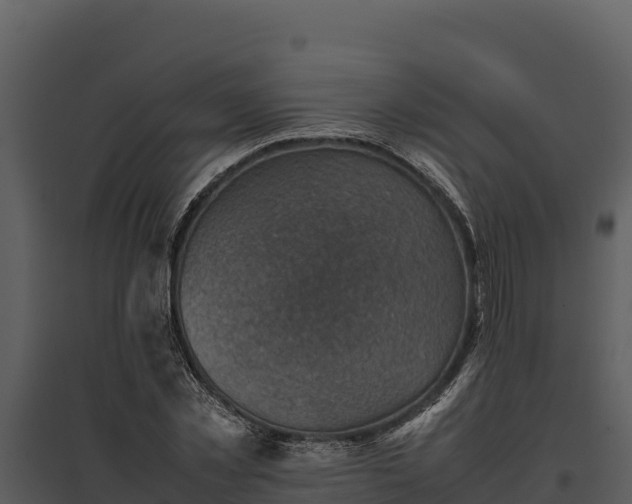X0000095690781200801151147