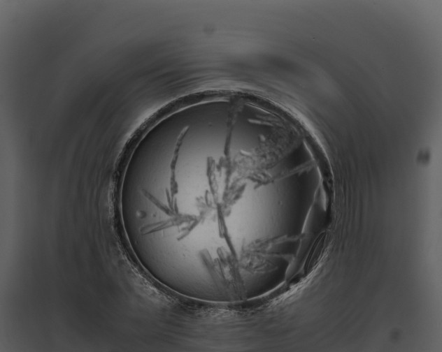 X0000095690783200801151147