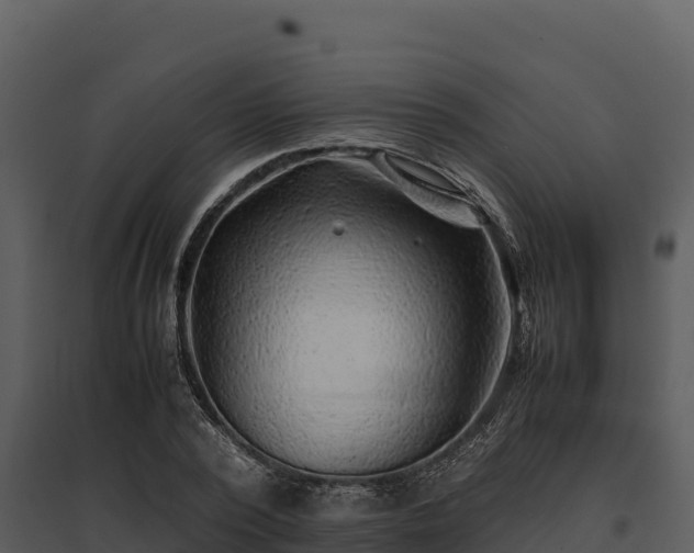X0000095690784200801151147
