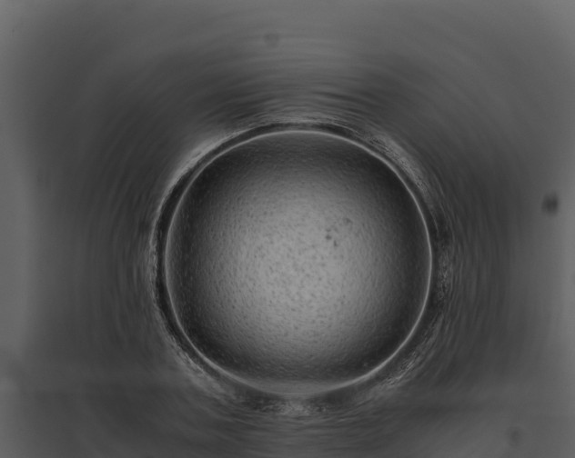 X0000095690787200801151147