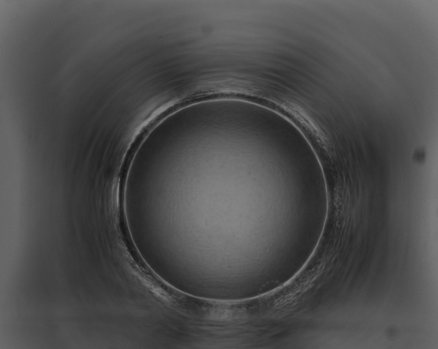 X0000095690790200801151147