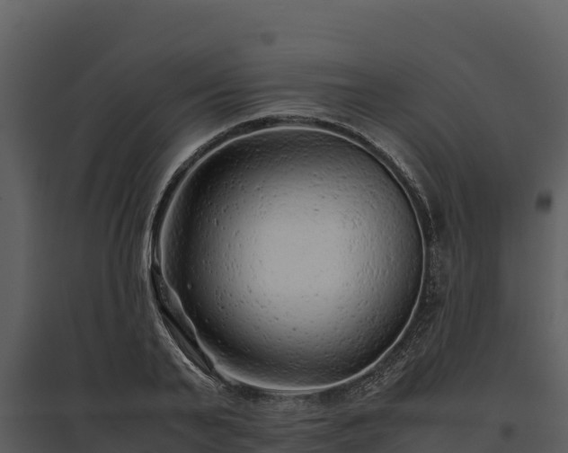 X0000095690791200801151147