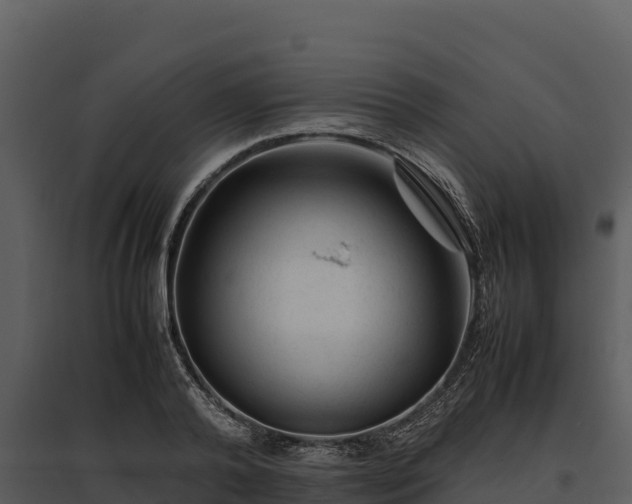X0000095690792200801151147