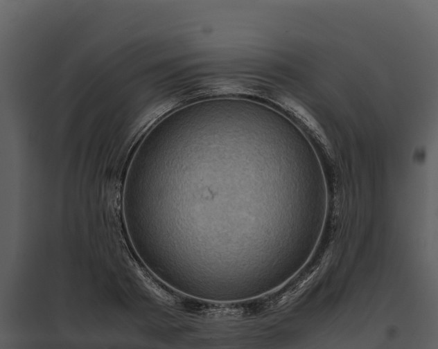 X0000095690793200801151147