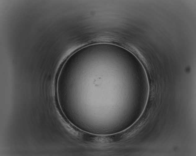 X0000095690795200801151147
