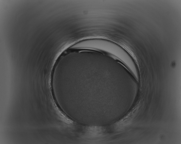 X0000095690797200801151147