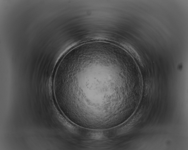 X0000095690798200801151147
