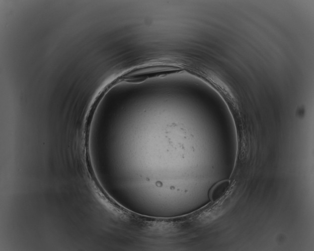 X0000095690800200801151147