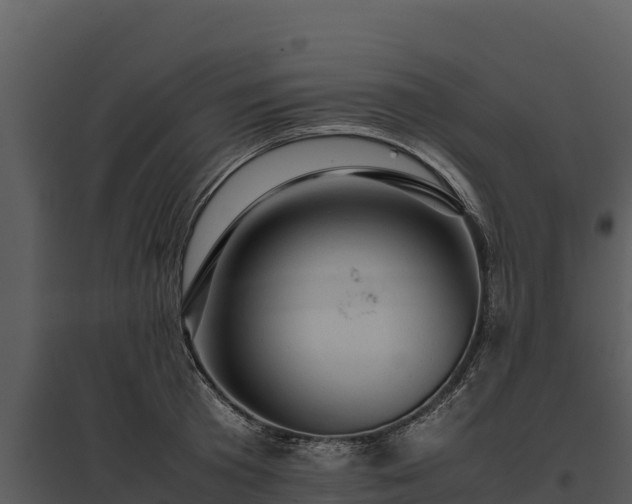 X0000095690801200801151147