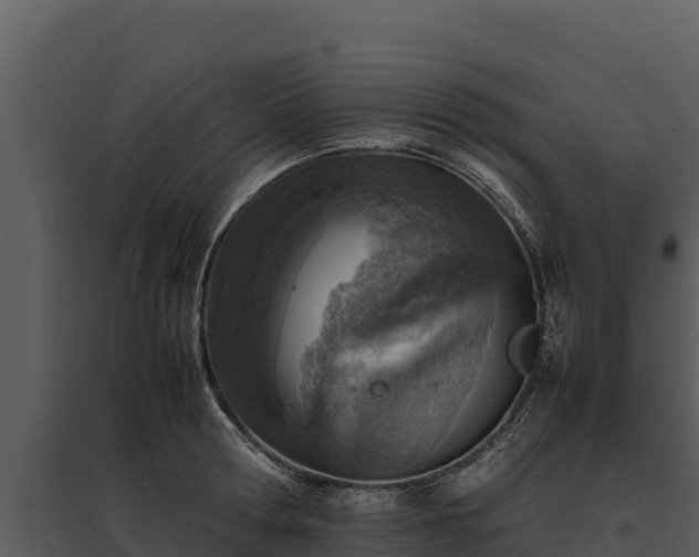 X0000095690802200801151147