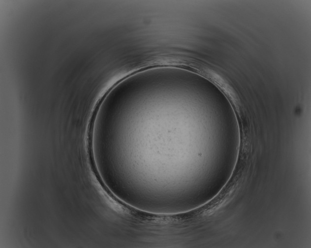 X0000095690803200801151147