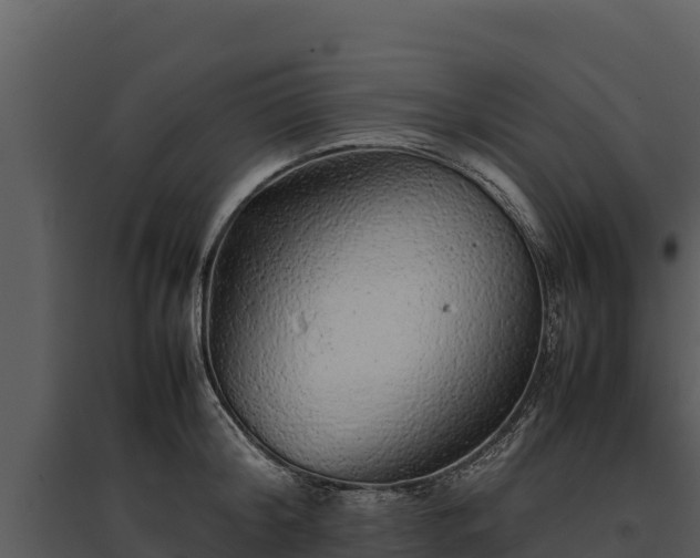 X0000095690804200801151147