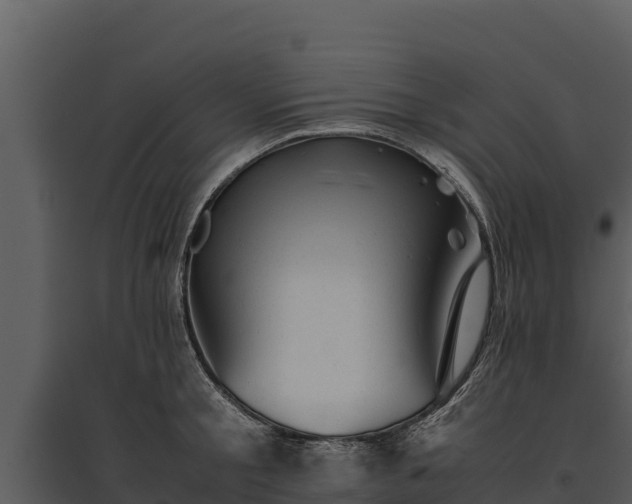 X0000095690805200801151147