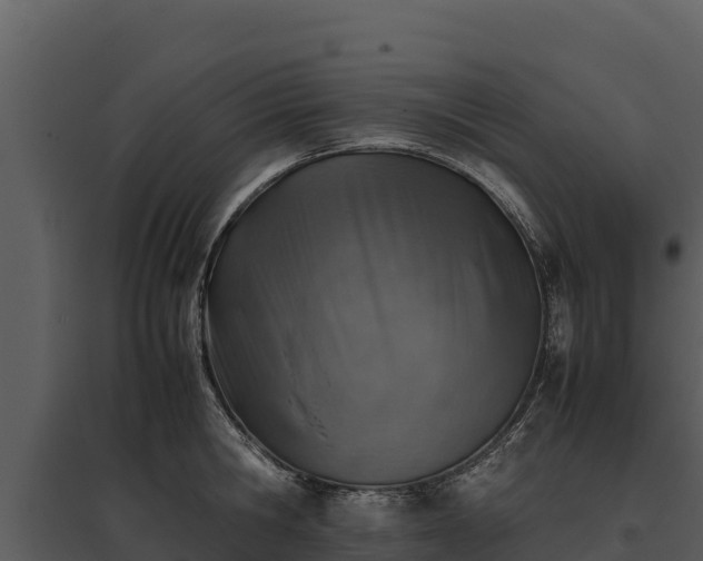 X0000095690806200801151147