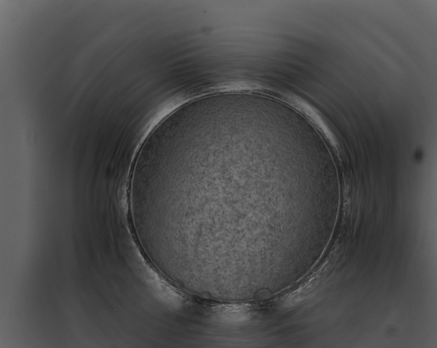 X0000095690810200801151147