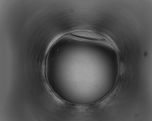 X0000095690812200801151147