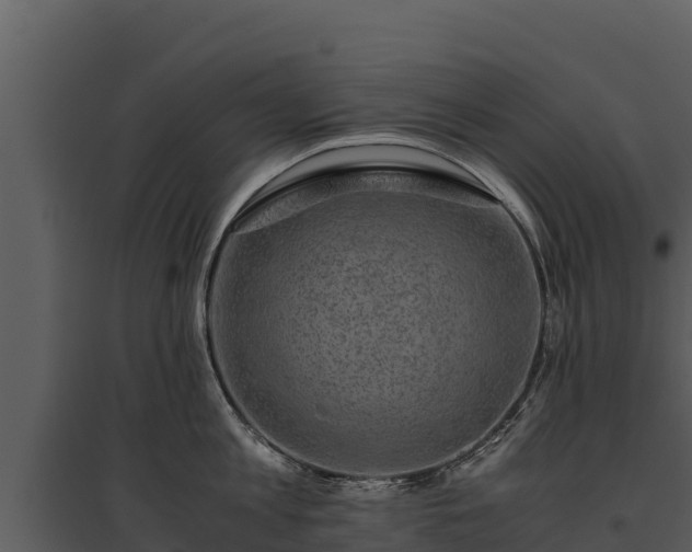 X0000095690813200801151147