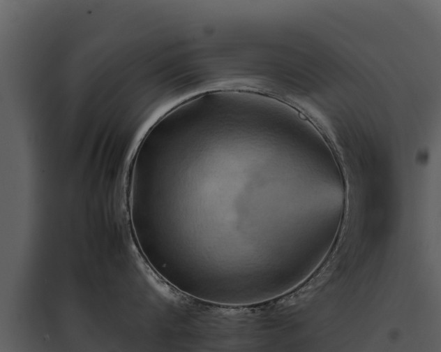 X0000095690816200801151147