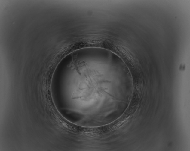 X0000095690817200801151146