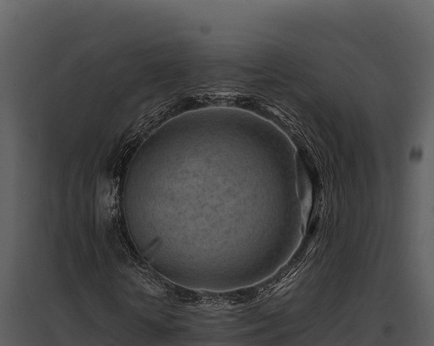 X0000095690818200801151146