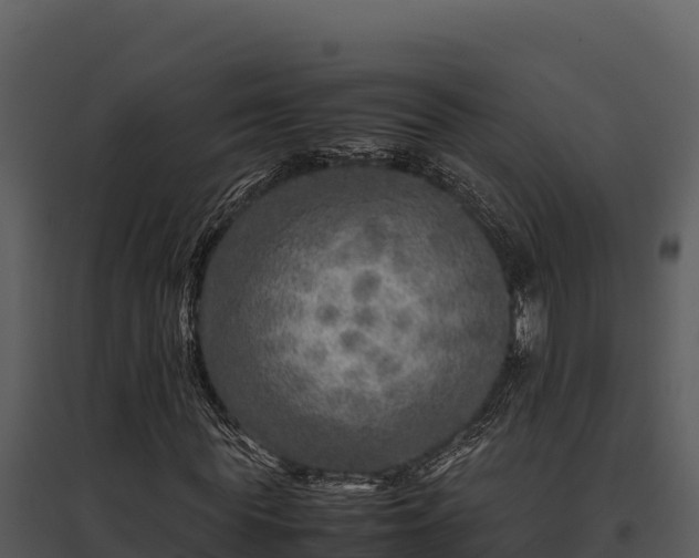 X0000095690819200801151146