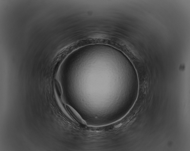X0000095690821200801151146