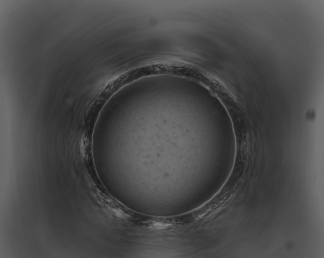 X0000095690822200801151146
