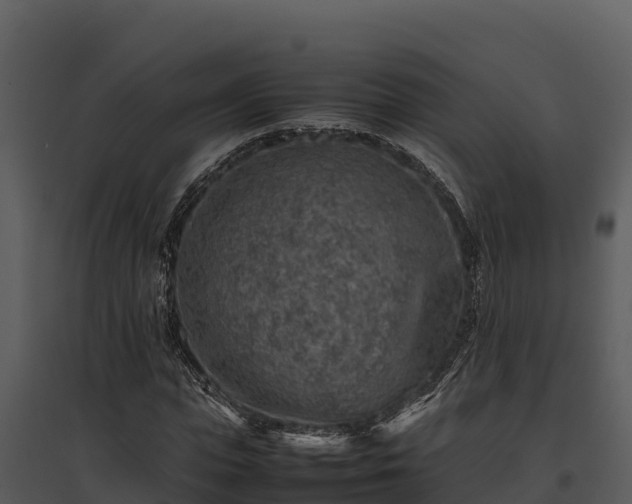 X0000095690823200801151146