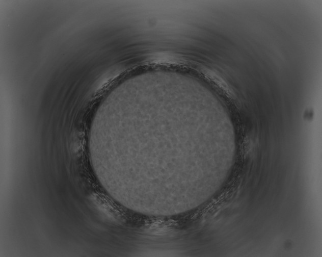 X0000095690824200801151146