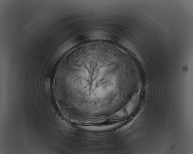 X0000095690825200801151146