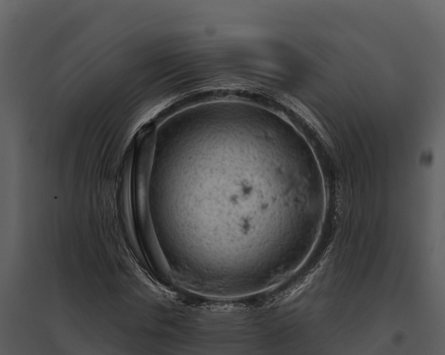 X0000095690826200801151146
