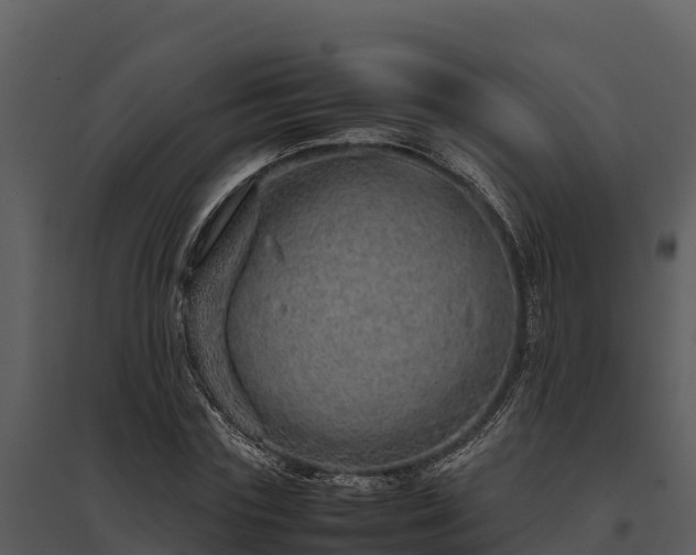 X0000095690827200801151146
