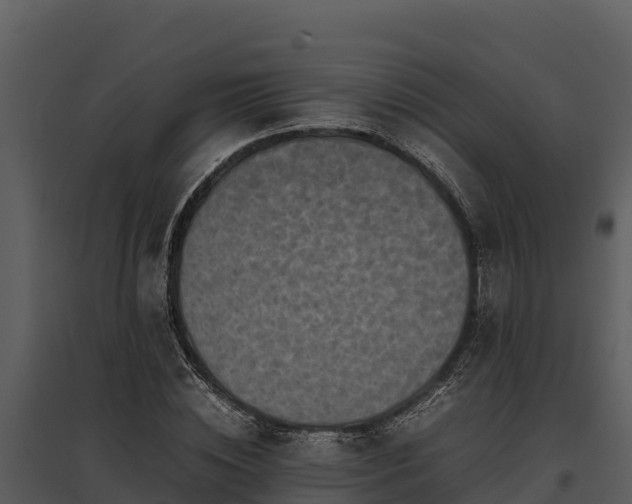 X0000095690828200801151146