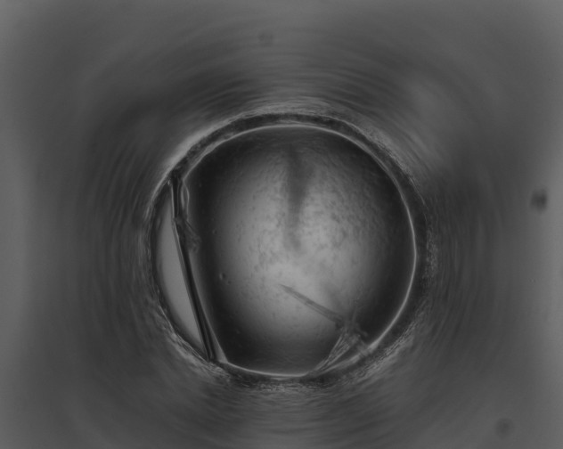 X0000095690830200801151146