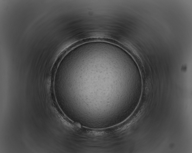 X0000095690831200801151146