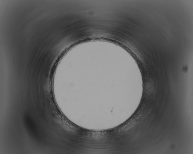 X0000095690832200801151146