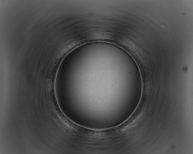 X0000095690833200801151146